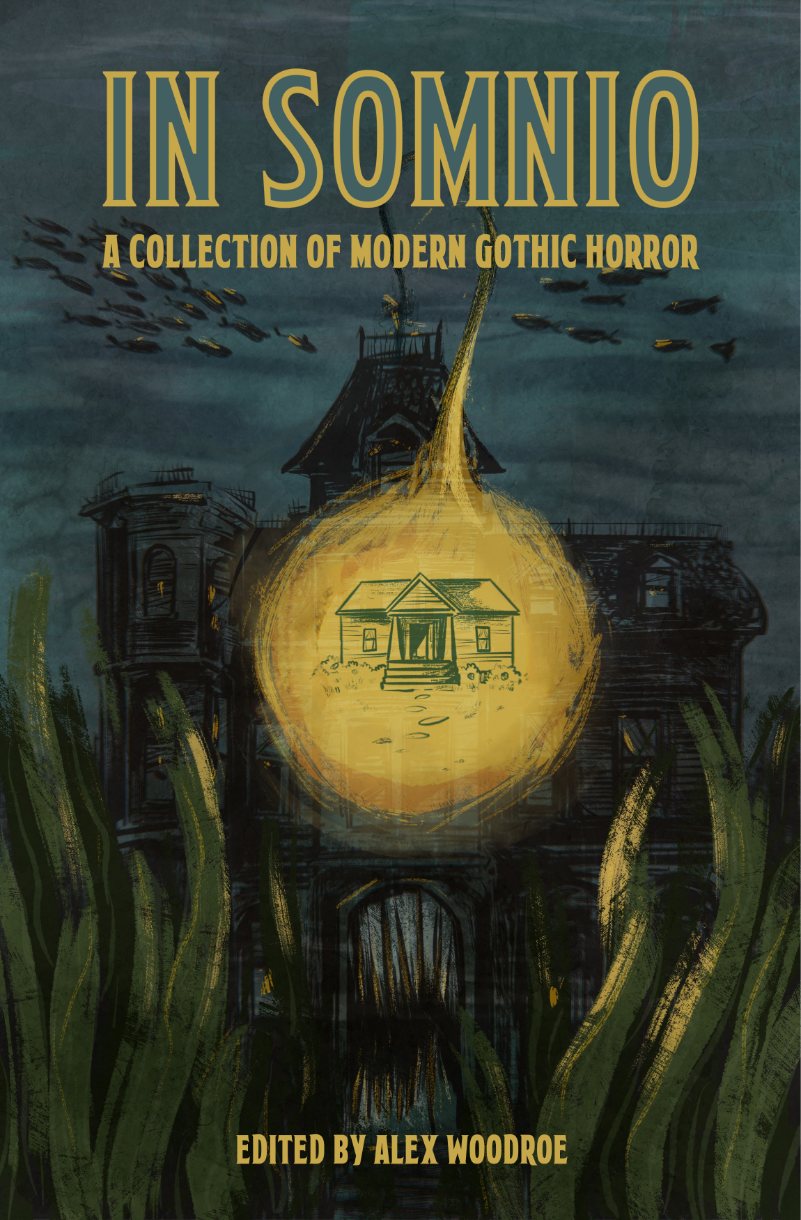 In Somnio book cover