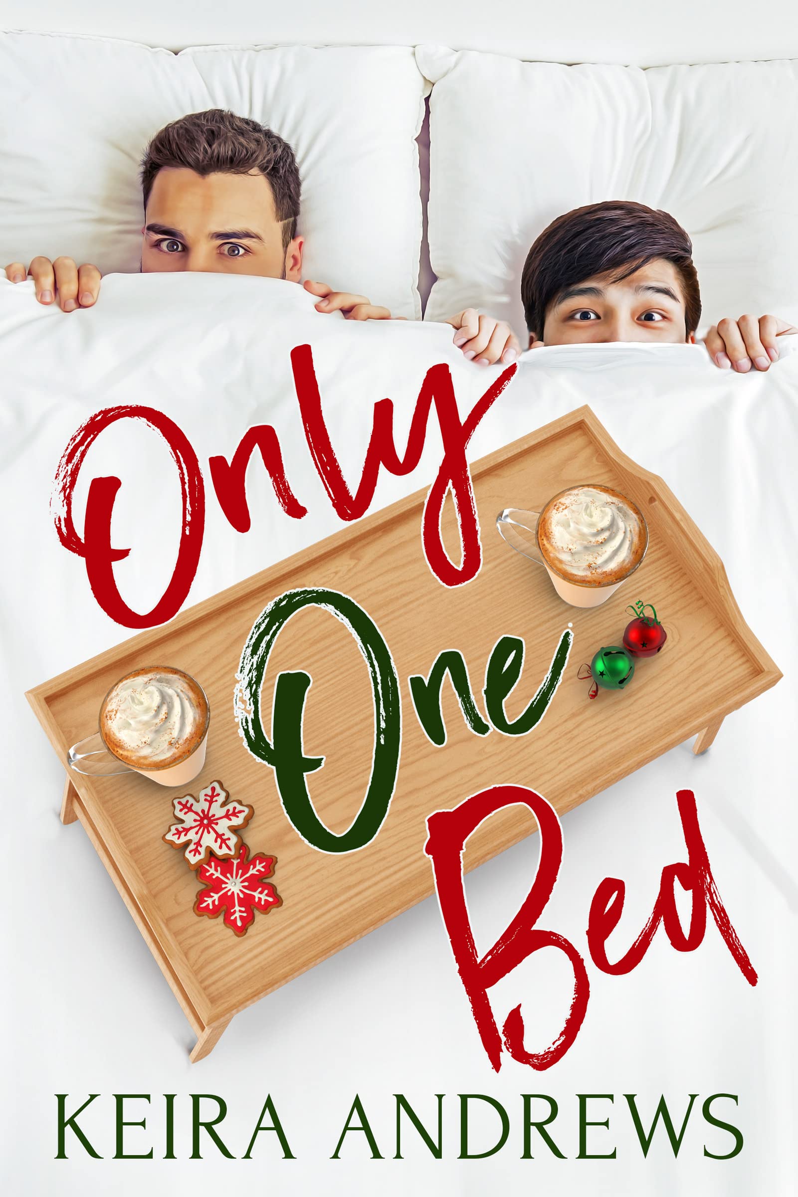 Love on the Ice book cover 1