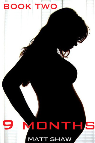 9 Months Trilogy book cover 2