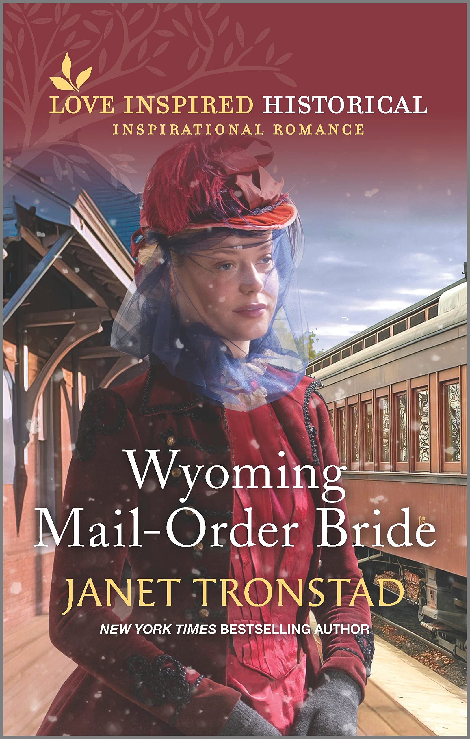 Wyoming Mail-Order Bride book cover