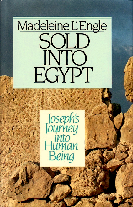 Sold into Egypt book cover