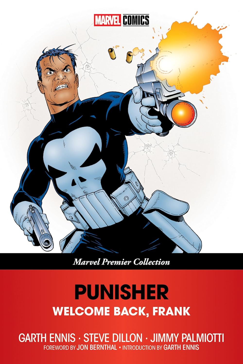Punisher book cover