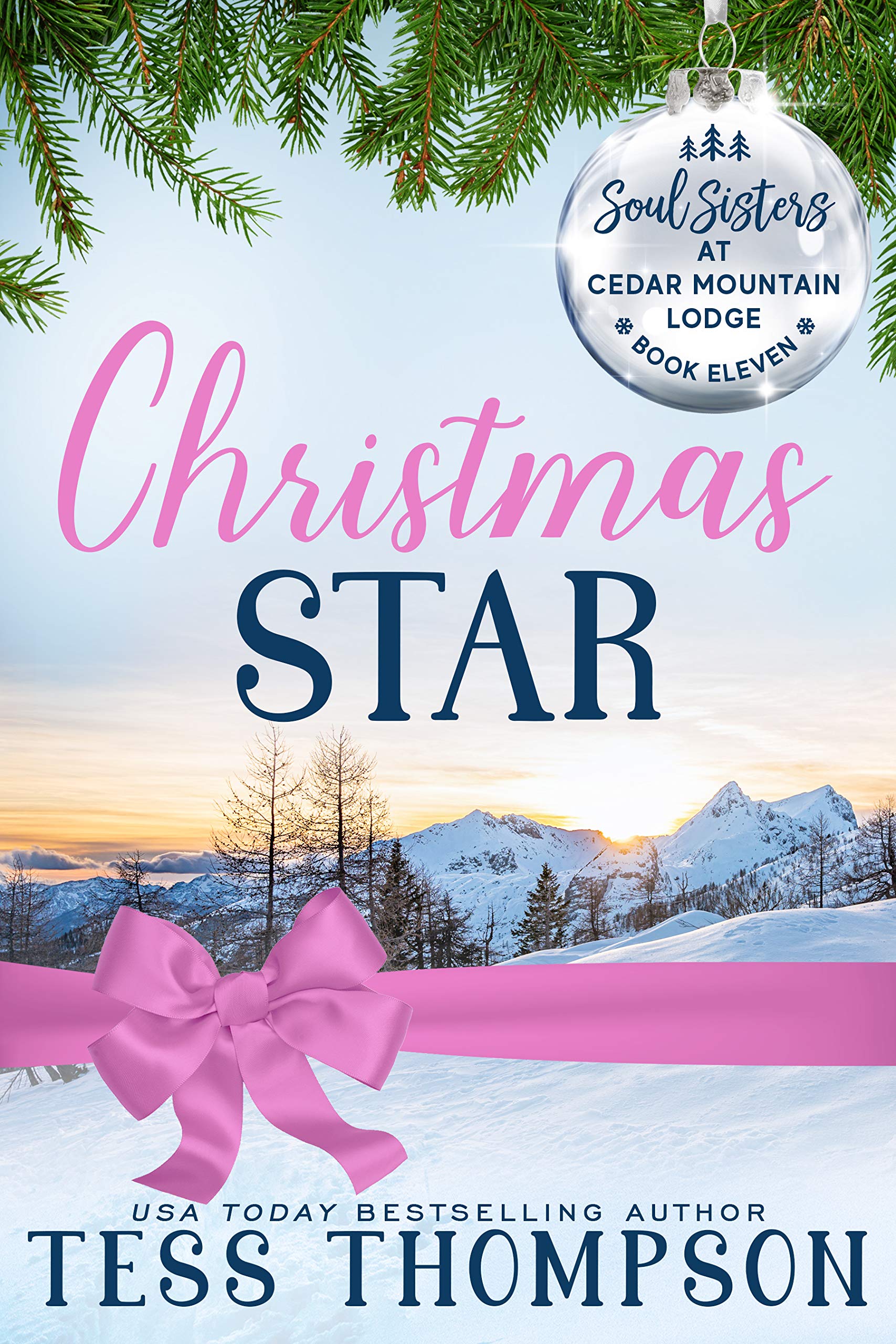 Christmas Star book cover