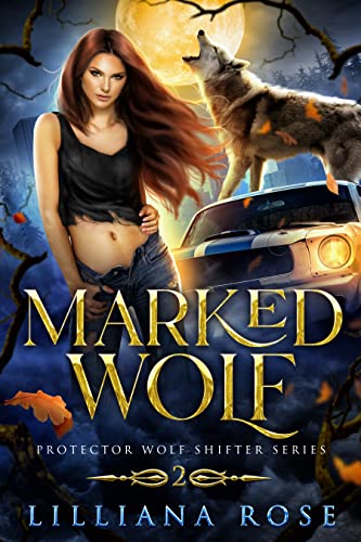Protector Wolf Shifter book cover 2