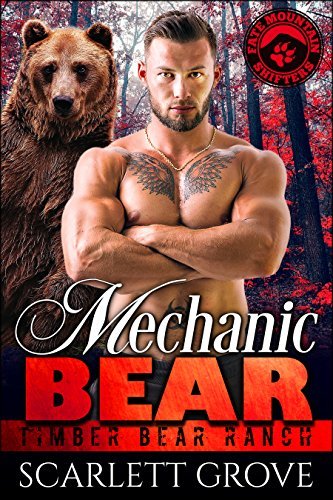 Mechanic Bear book cover