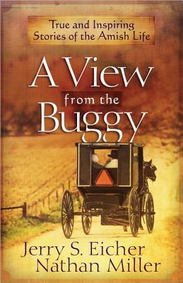 A View from the Buggy book cover