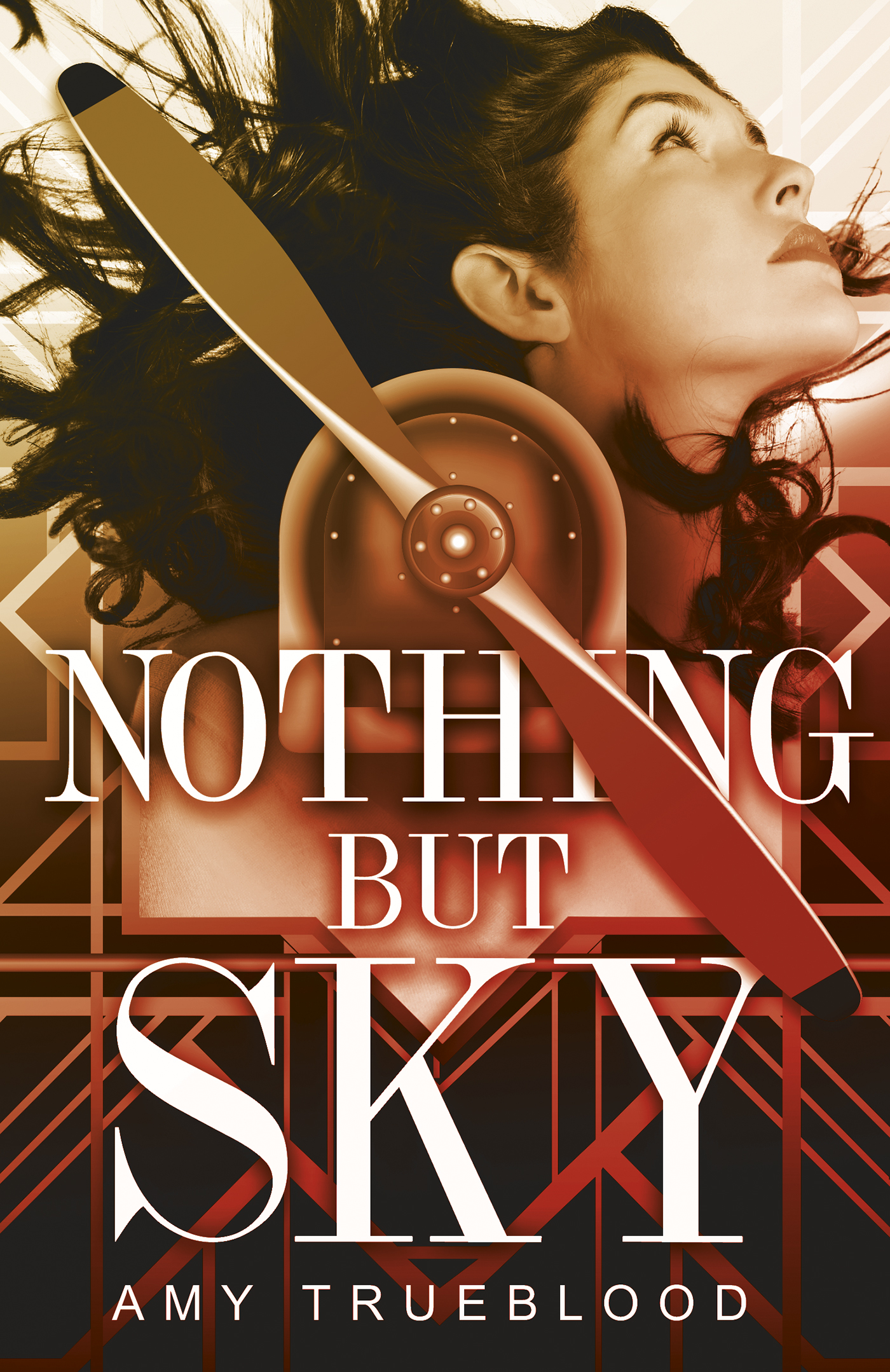 Nothing But Sky book cover