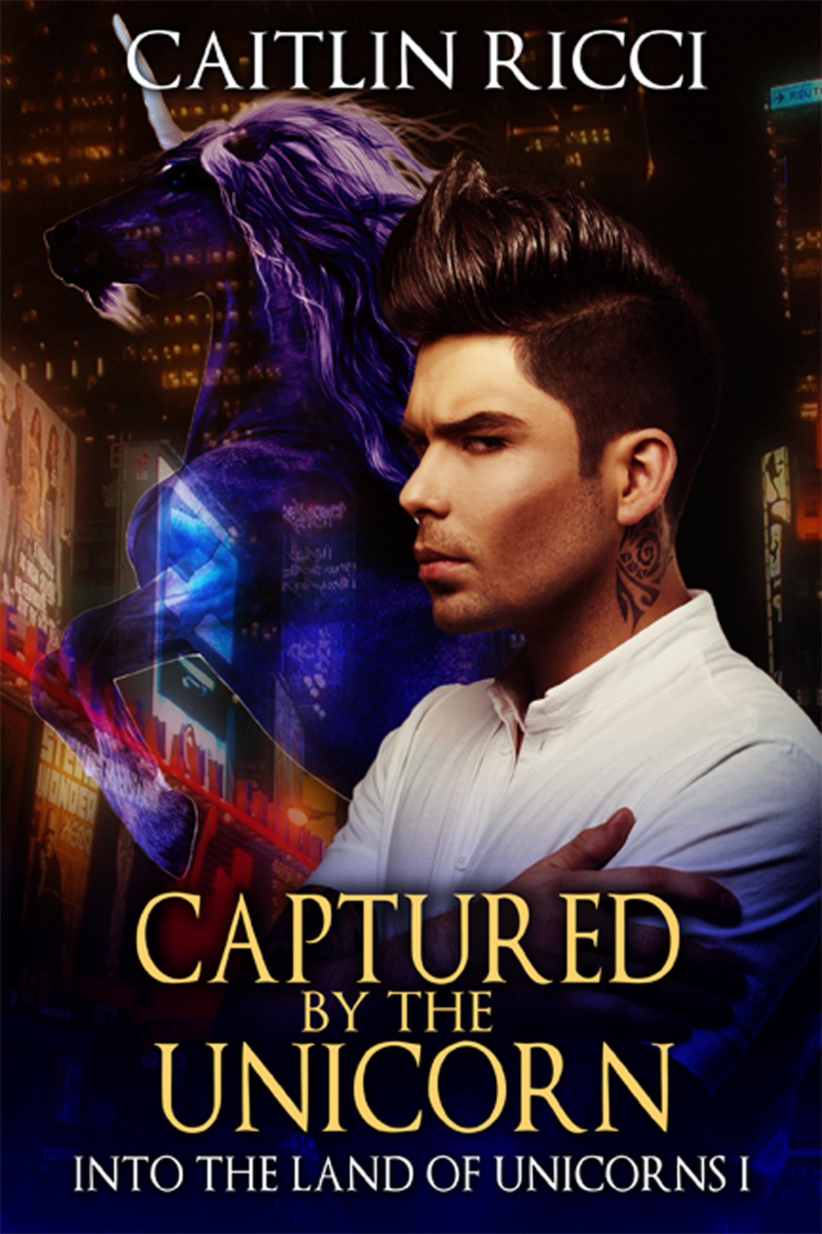 Into the Land of Unicorns book cover 1