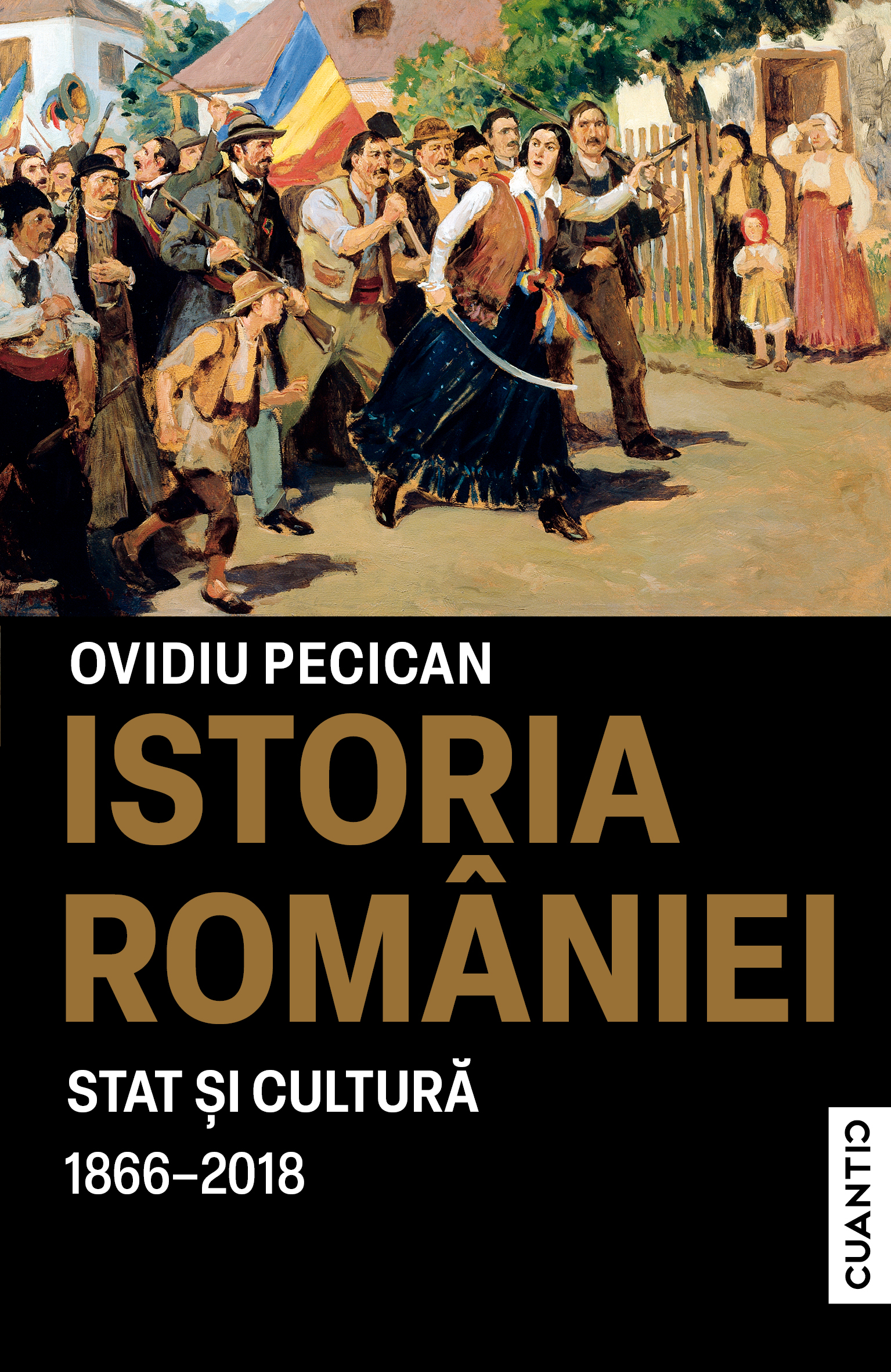 Istoria României – Stat și cultură book cover