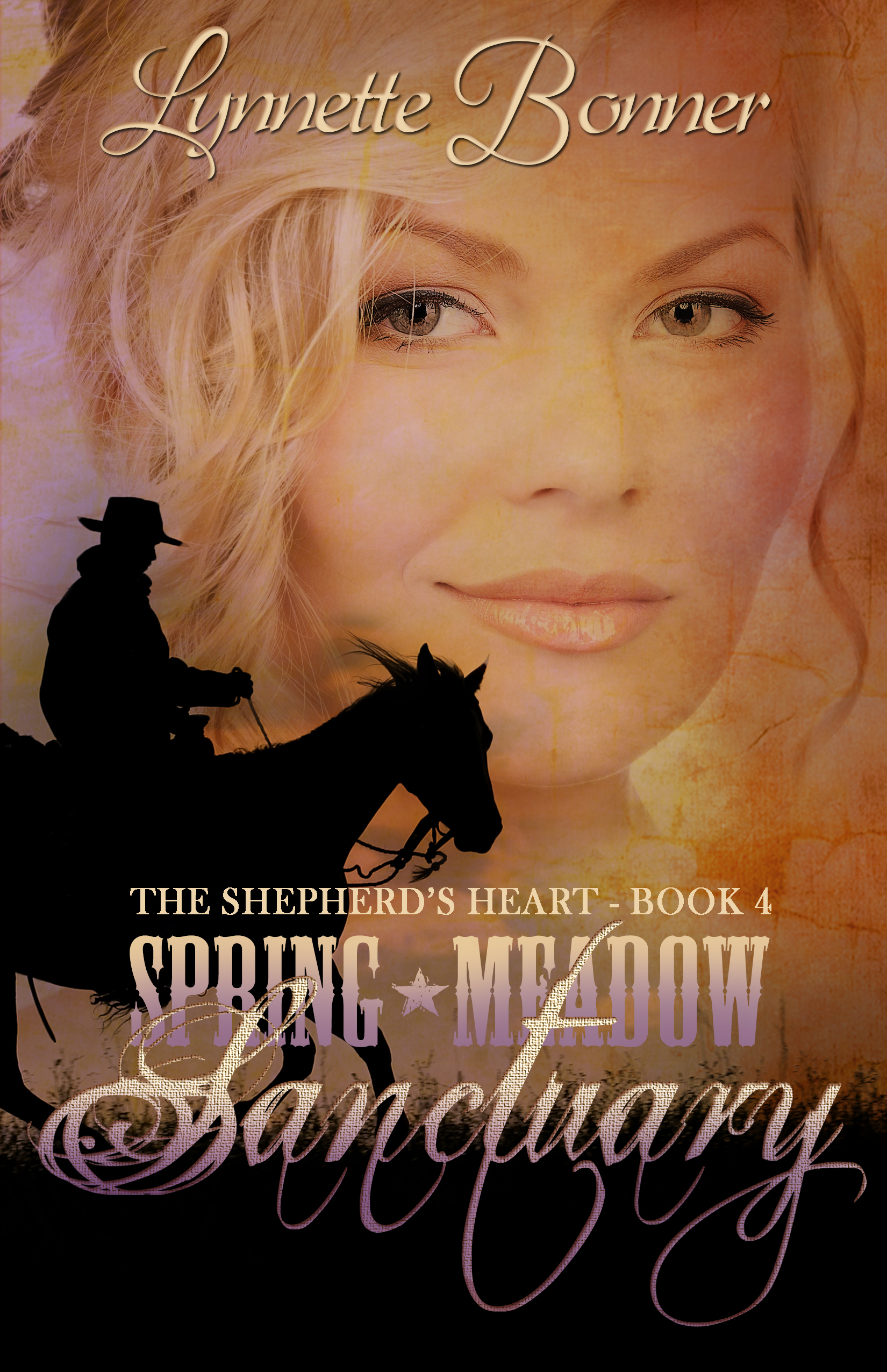 Spring Meadow Sanctuary book cover