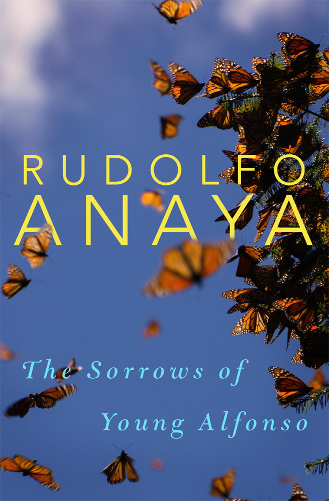 The Sorrows of Young Alfonso (Volume 15) book cover