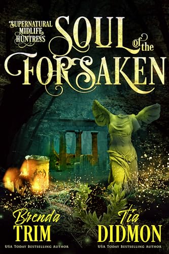 Soul of the Forsaken book cover
