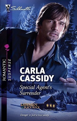 Special Agent's Surrender book cover