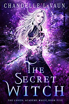The Secret Witch book cover