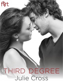 Third Degree book cover