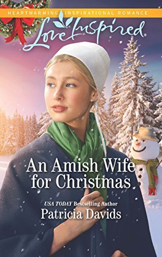 North Country Amish book cover 1