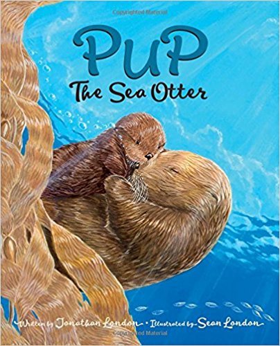 Pup the Sea Otter book cover