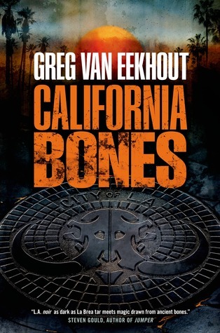 Daniel Blackland book cover 1