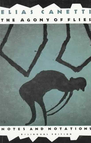 The Agony of Flies book cover