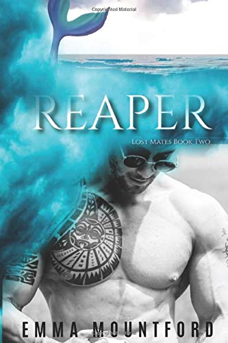 Lost Mates book cover 2