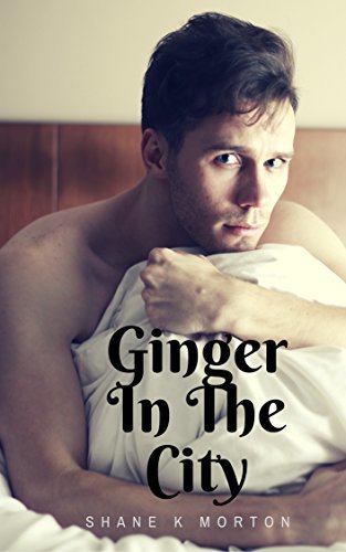 Ginger in the City book cover