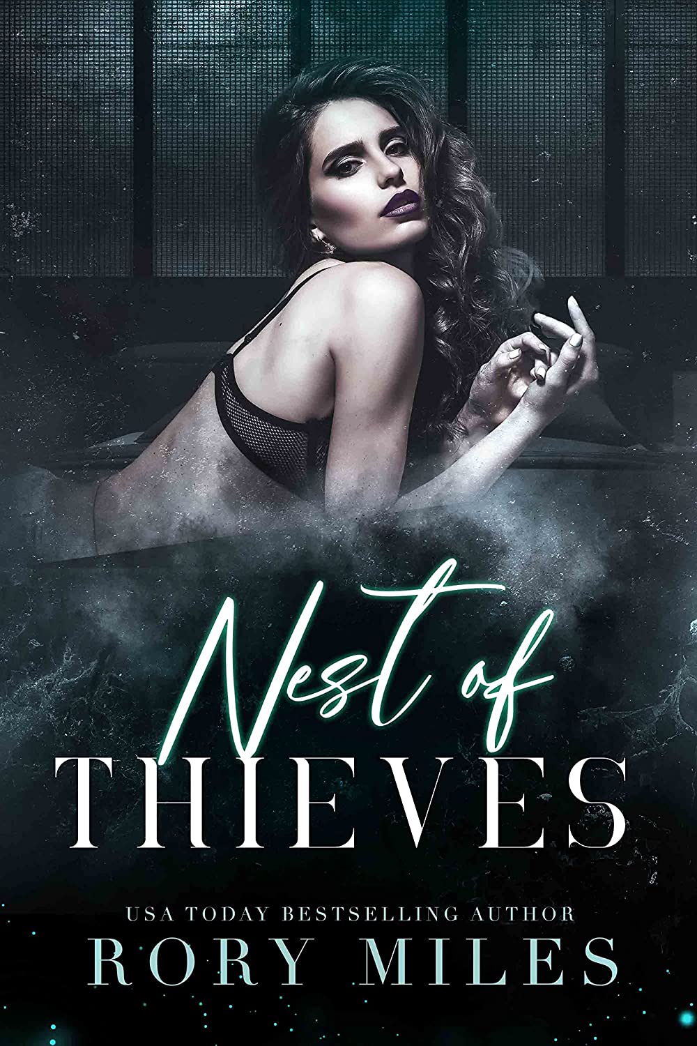 Nest of Thieves book cover