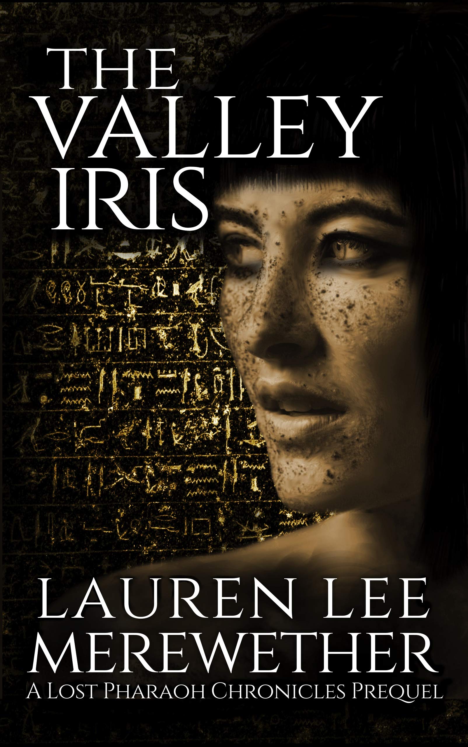The Valley Iris book cover