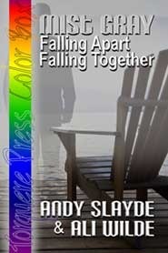 Mist Gray book cover