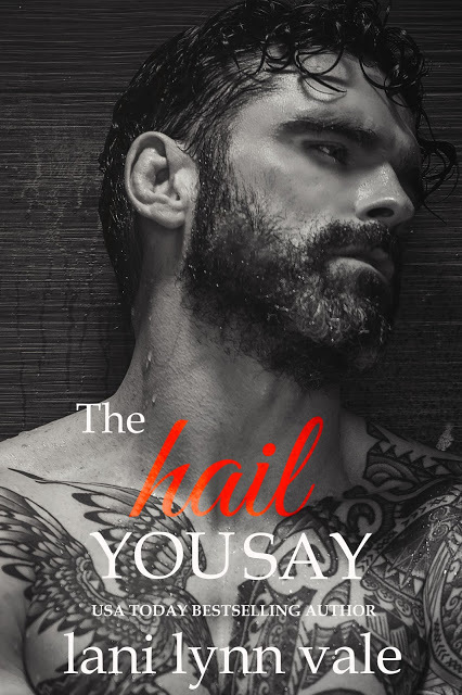The Hail You Say book cover