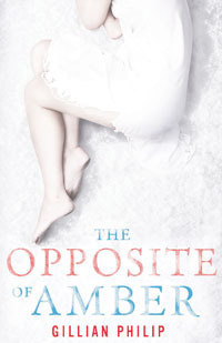 The Opposite of Amber book cover