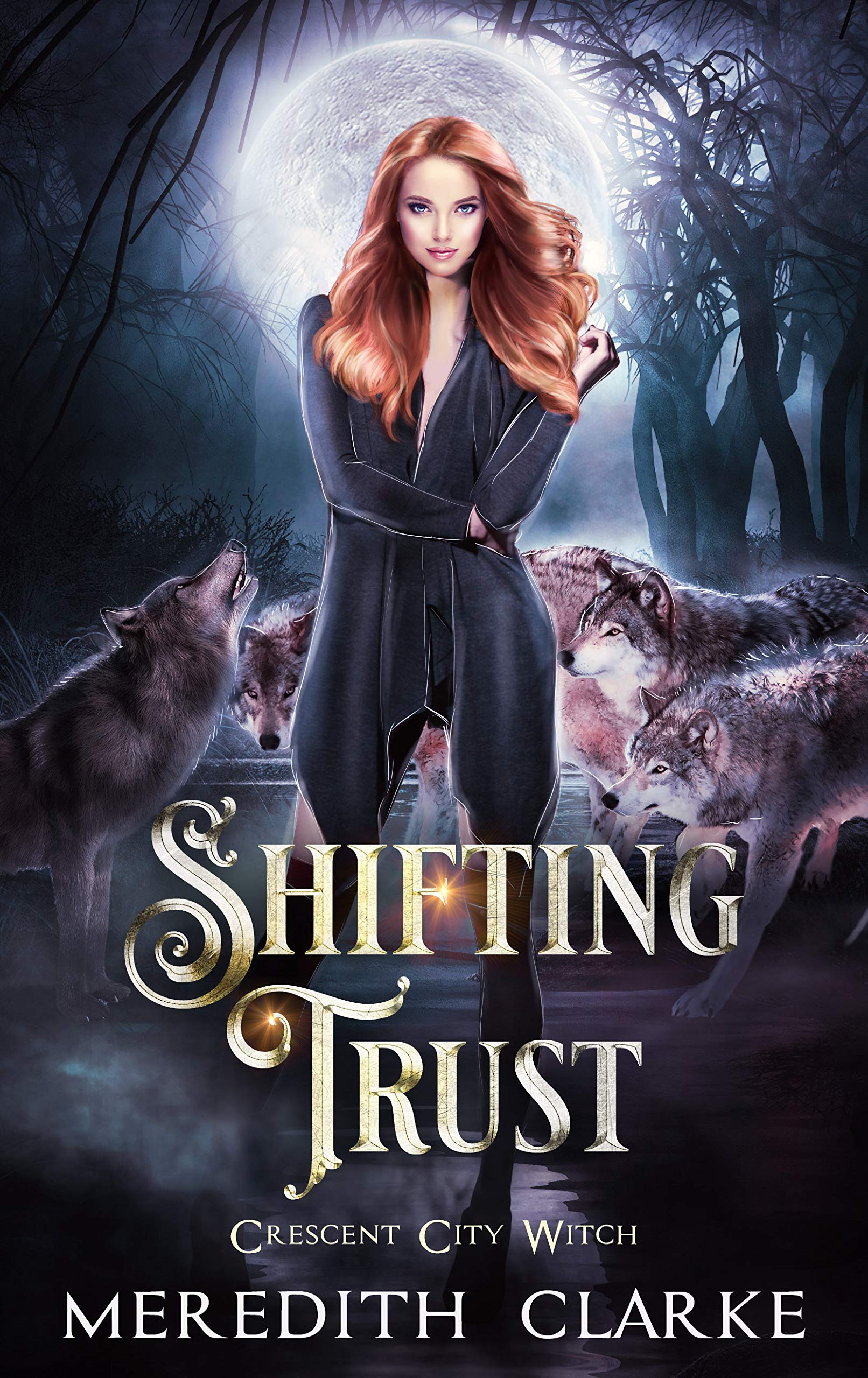 Crescent City Witch book cover 2
