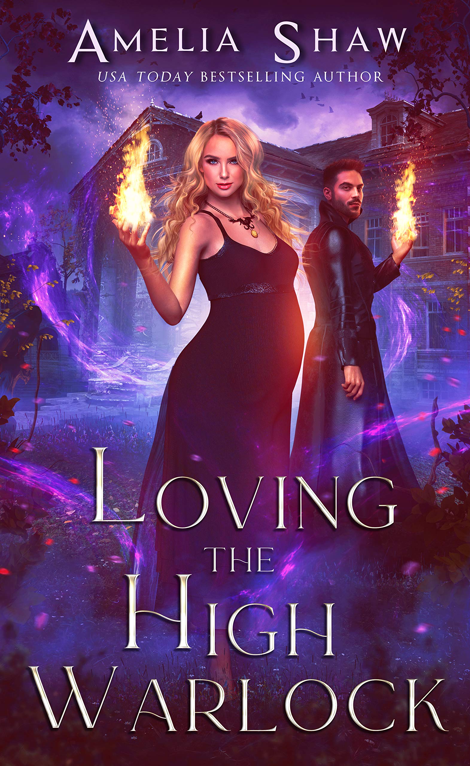 Loving the High Warlock book cover