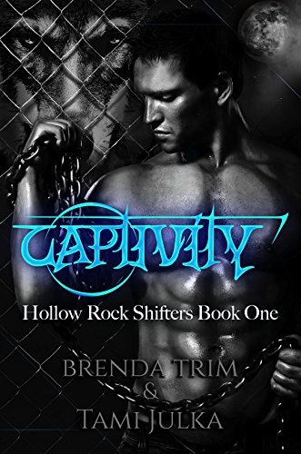 Hollow Rock Shifters book cover 1
