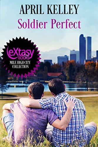 Soldier Perfect book cover