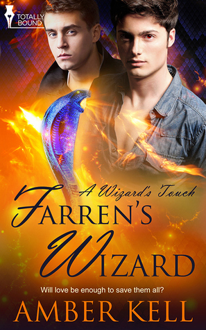 A Wizard's Touch book cover 3
