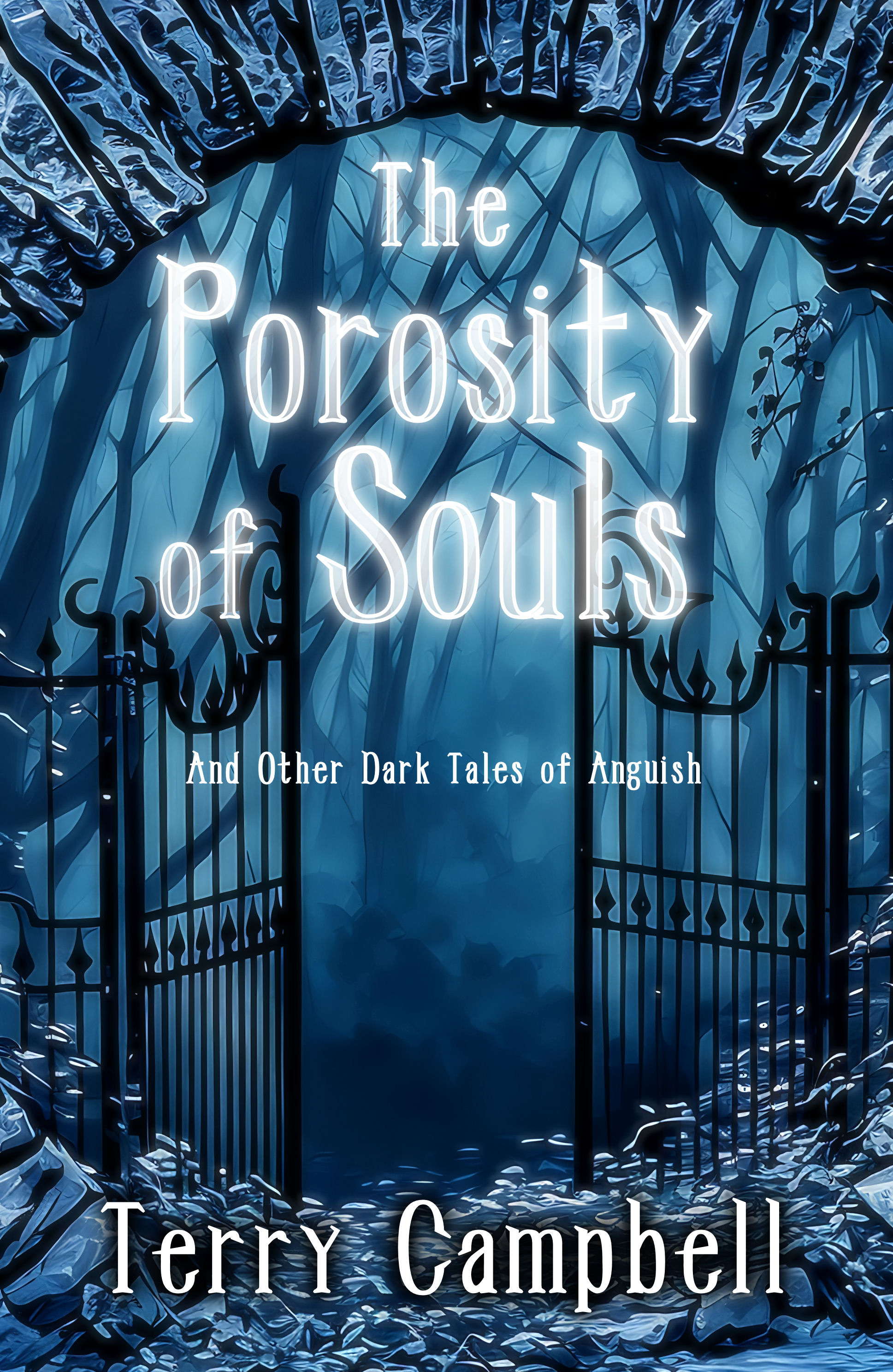 The Porosity of Souls book cover