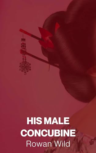 His Male Concubine book cover