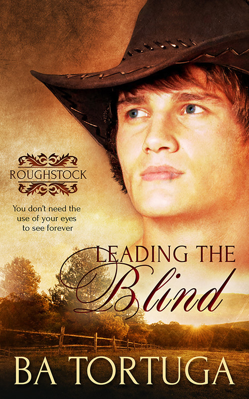 Leading the Blind book cover