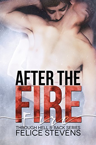 After the Fire book cover