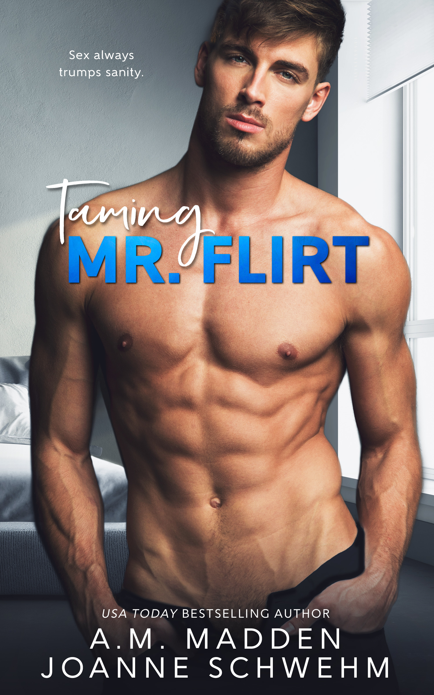 Mr. Wrong book cover 2
