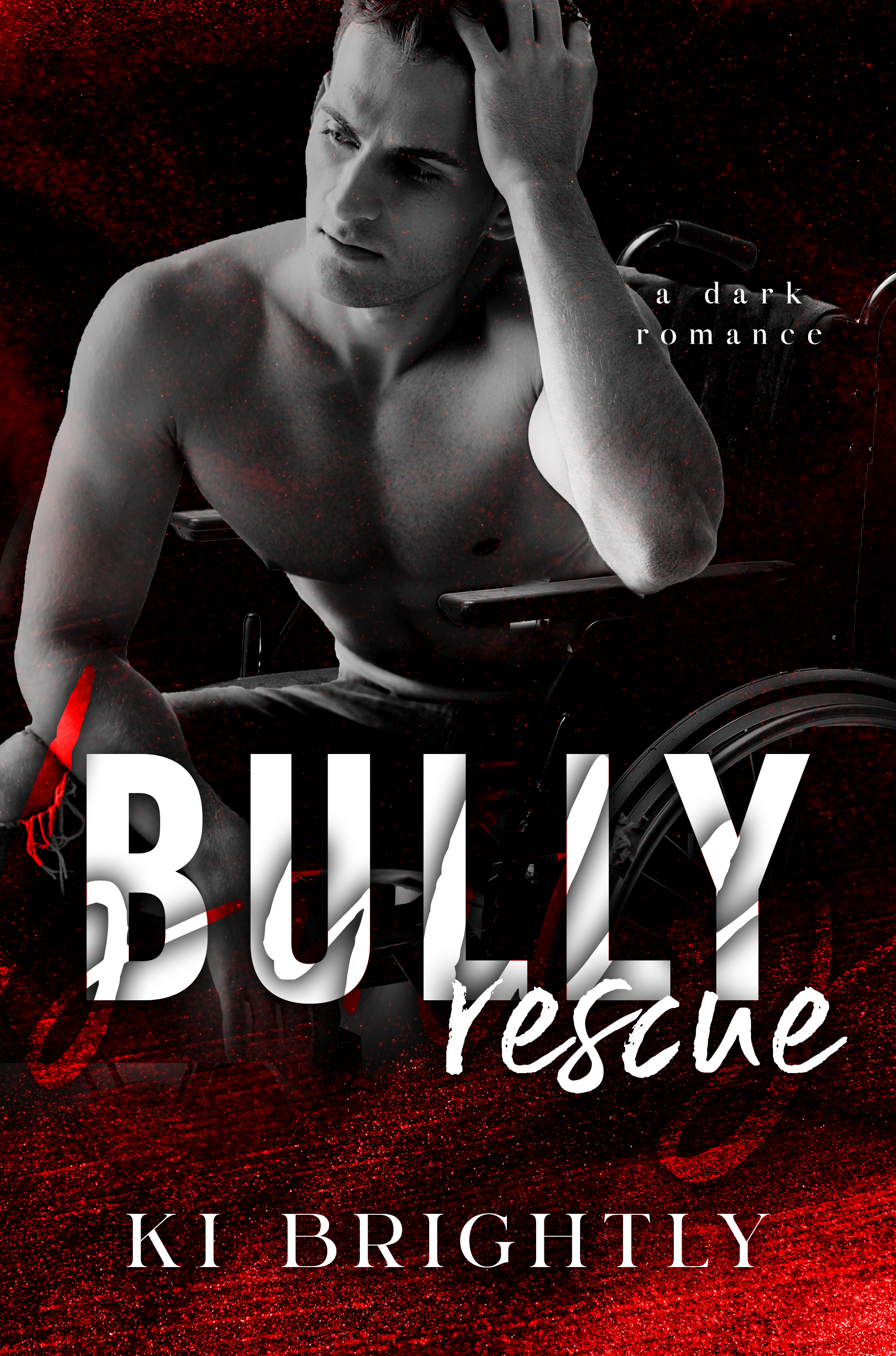 Bully Rescue book cover