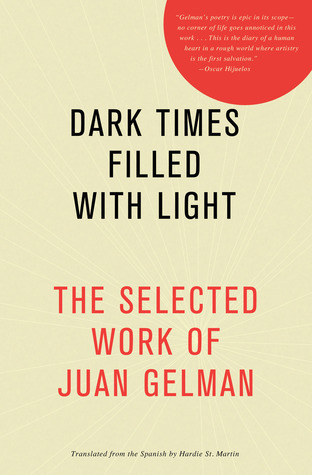 Dark Times Filled with Light book cover