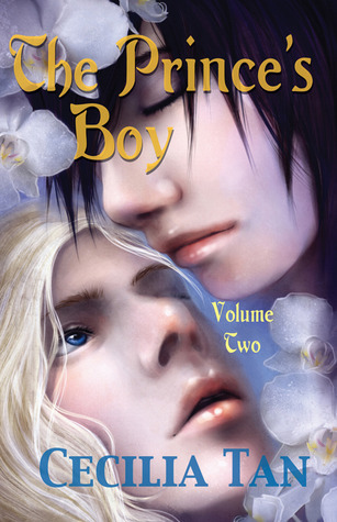 The Prince's Boy book cover 2