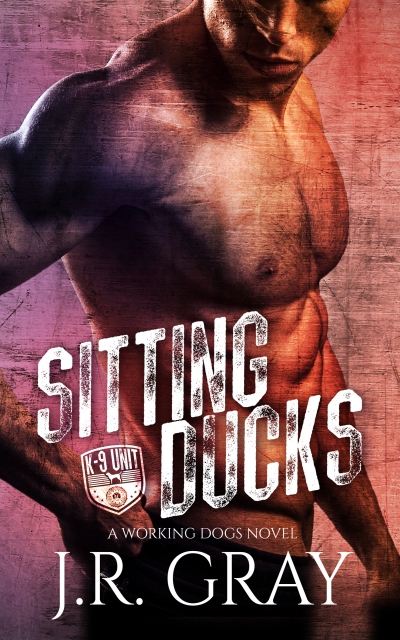 Sitting Ducks book cover