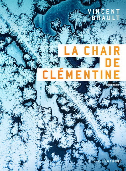 La Chair de Clémentine book cover