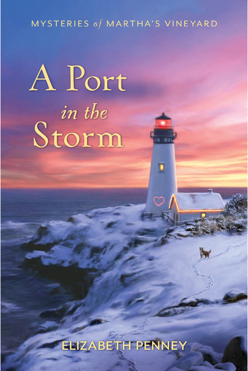 A Port in the Storm book cover