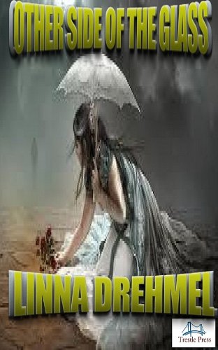 Other Side of the Glass book cover