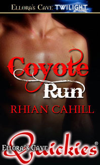 Coyote Run book cover