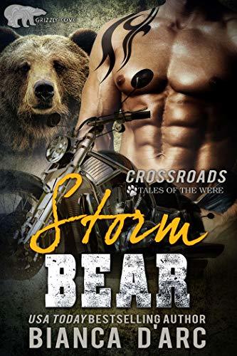 Storm Bear book cover