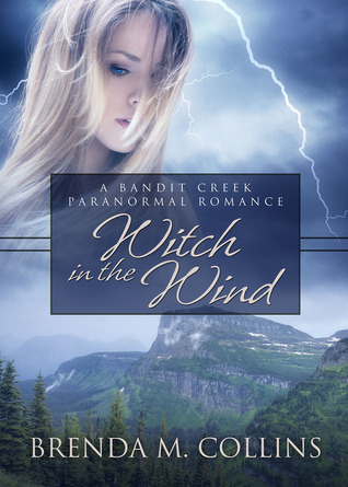 Witch in the Wind book cover